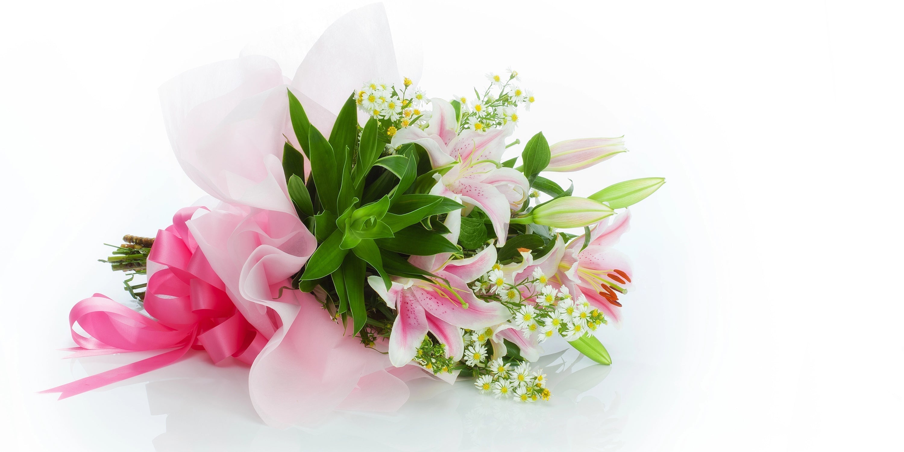 White lily flower meaning and symbolism