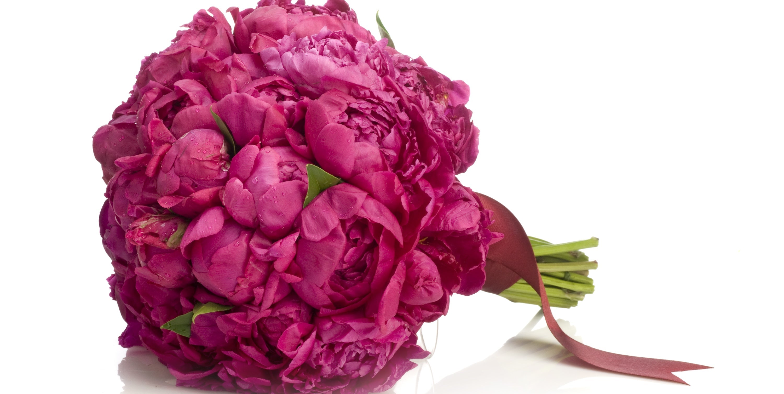Send Peonies to Ukraine – May Birth Flower of Love, Beauty & Prosperity