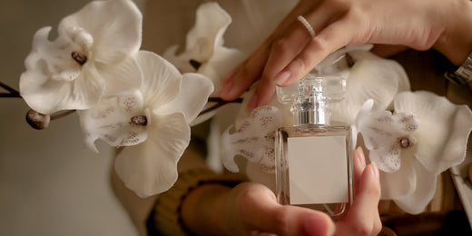 Most Popular Designer Perfumes in 2025