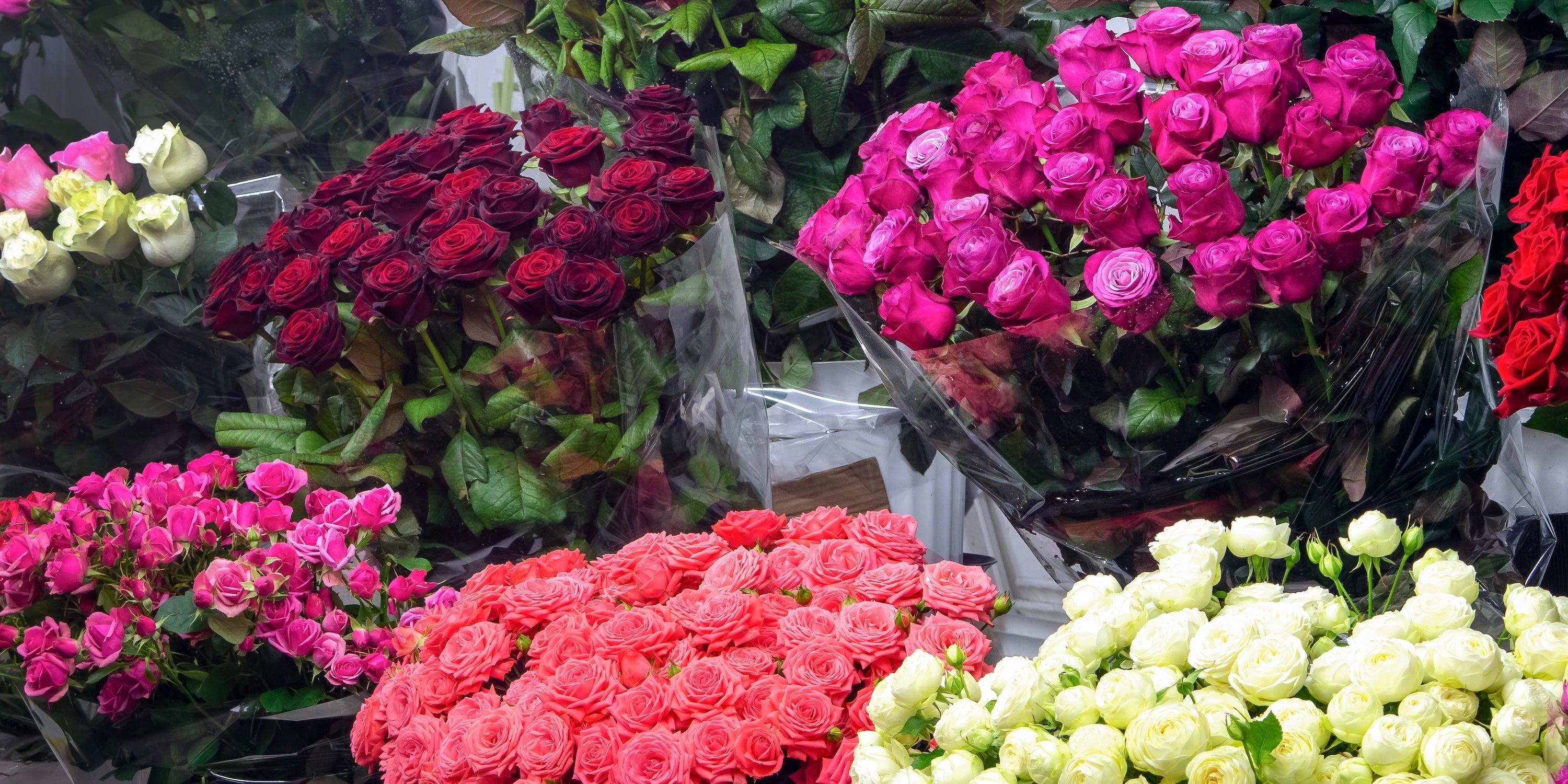 A Guide to Roses Available in Ukraine: Standard, Spray, and Peony Roses