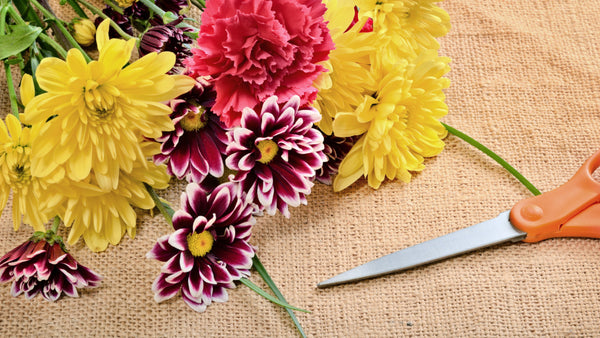 10 Tips to Make Cut Flowers Last Longer