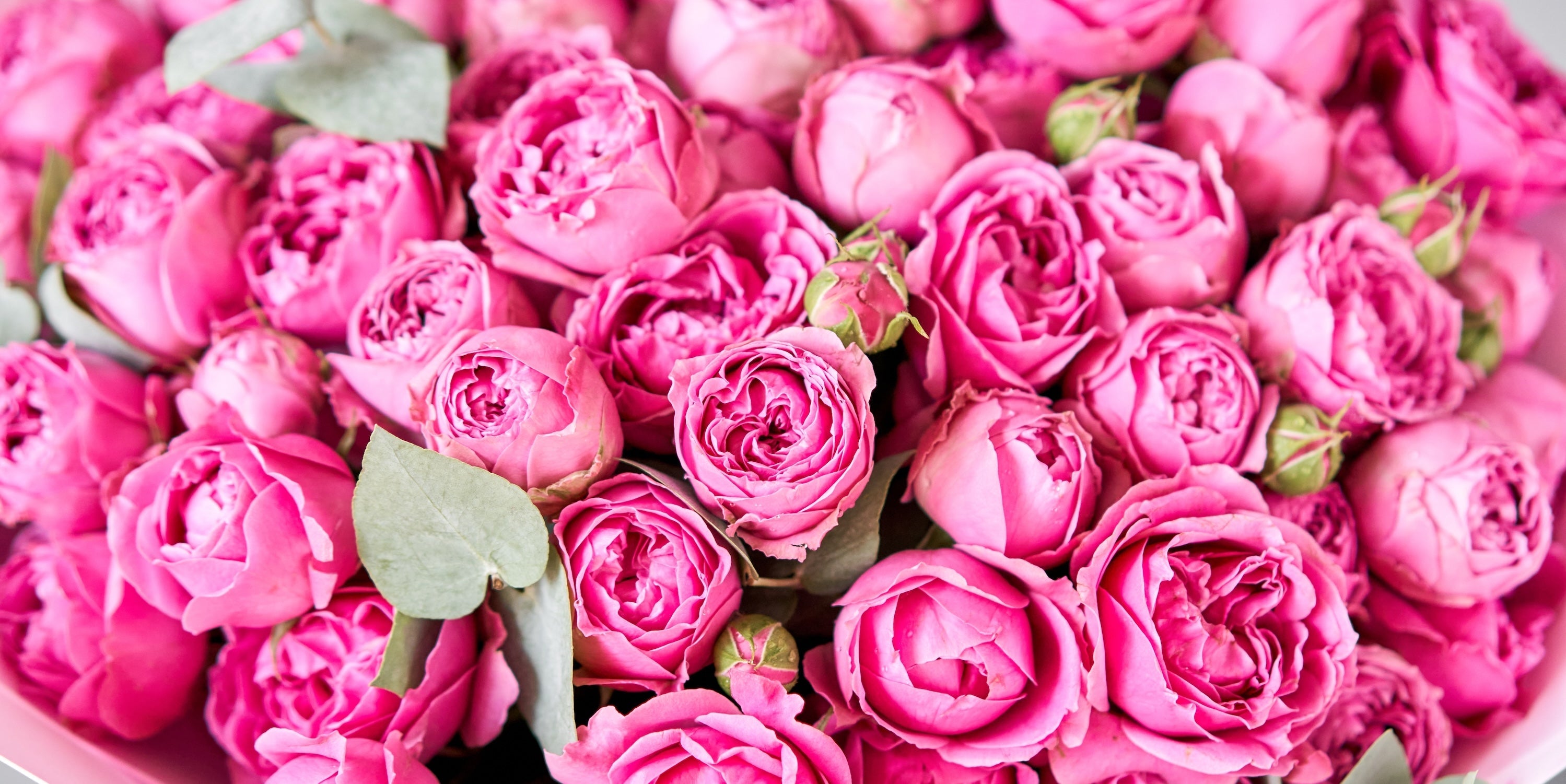 peony rose bouquet 31 stems pink luxury flower delivery Ukraine