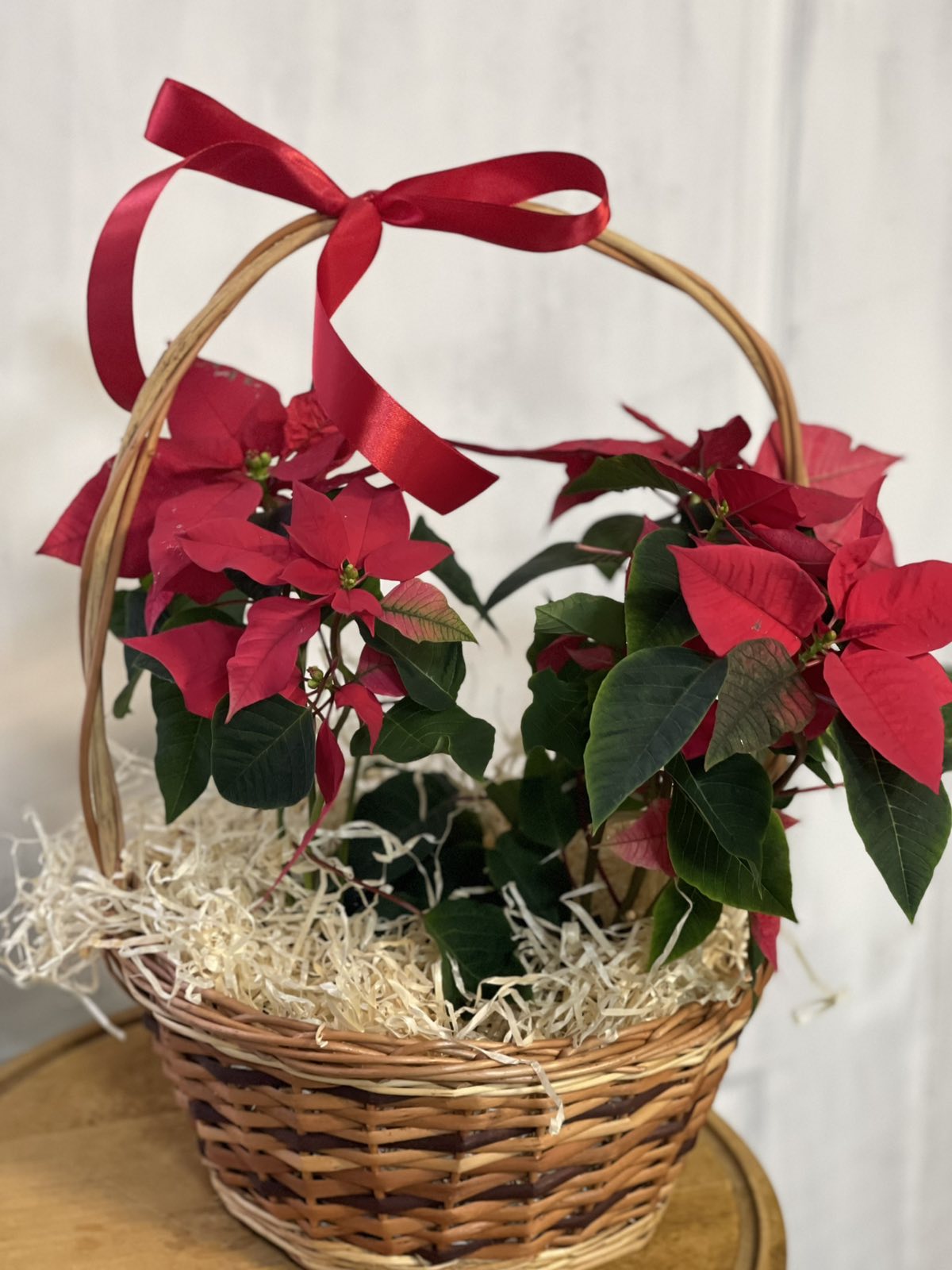 Gorgeous Poinsettia Flower Basket