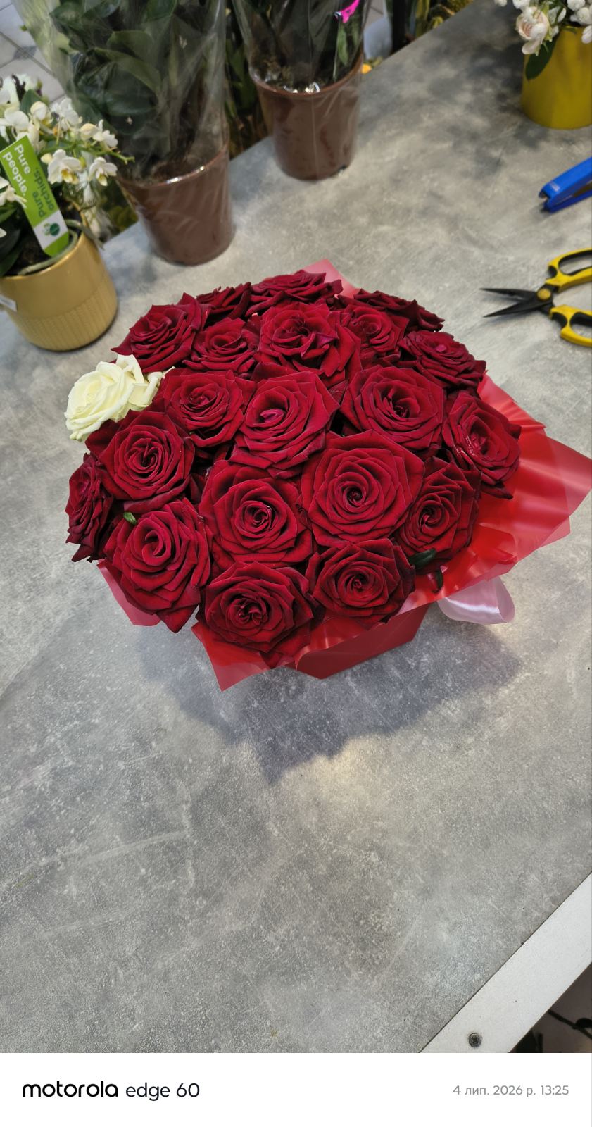 Arrangement Perle dans le cœur