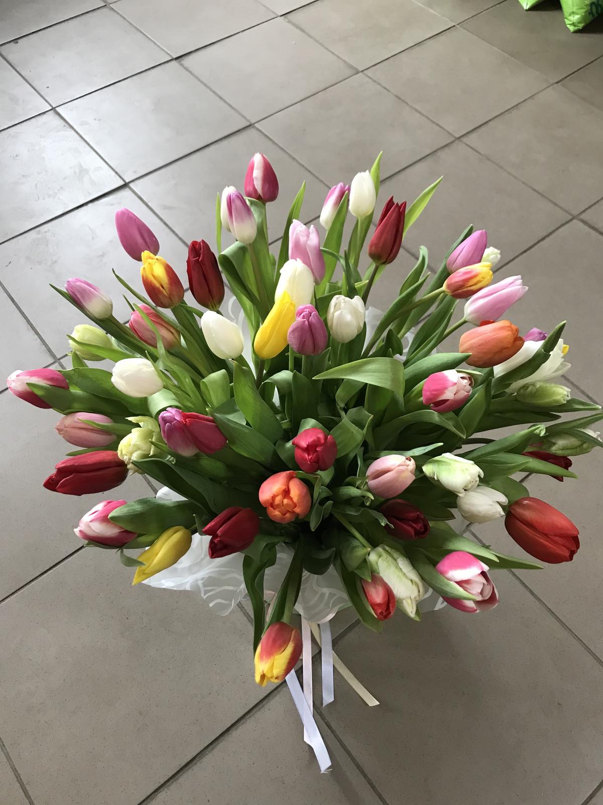 Coffret de Tulipes Reine de Beauté