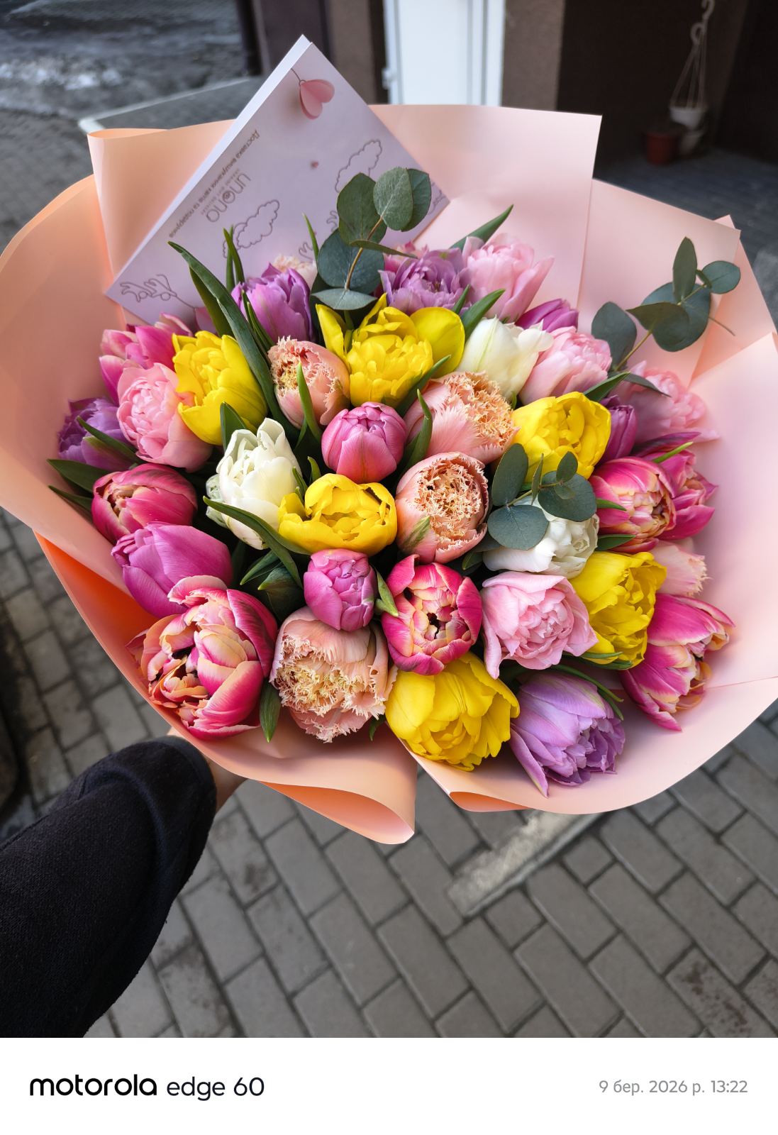 Bouquet de tulipes chantées au printemps