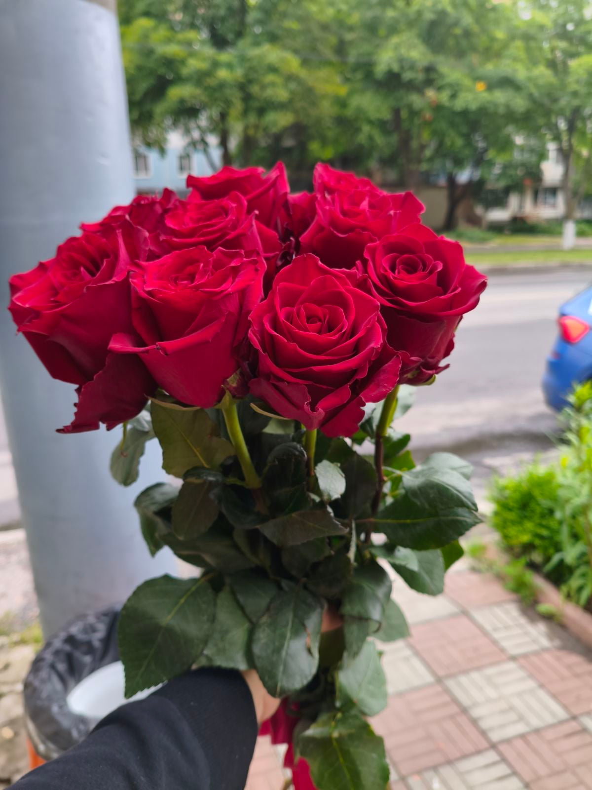 I Love You From Afar – 9 Roses Bouquet Delivery in Ukraine
