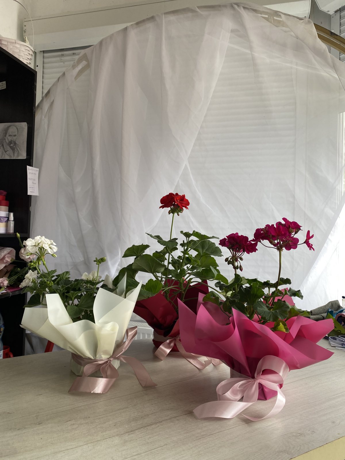 Sweet Geranium Delight