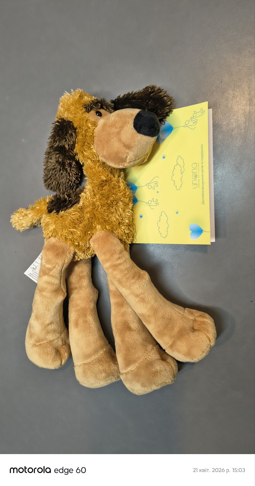 Long-Legged Dog Plush Toy, 32 cm – Melissa & Doug