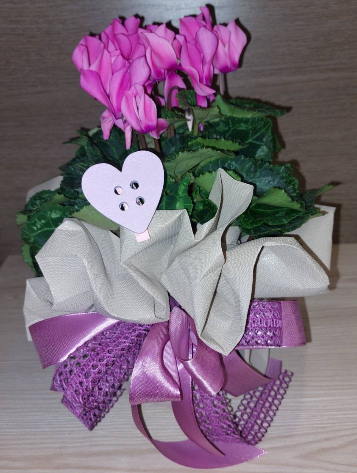 Tender Cyclamen Plant Gift
