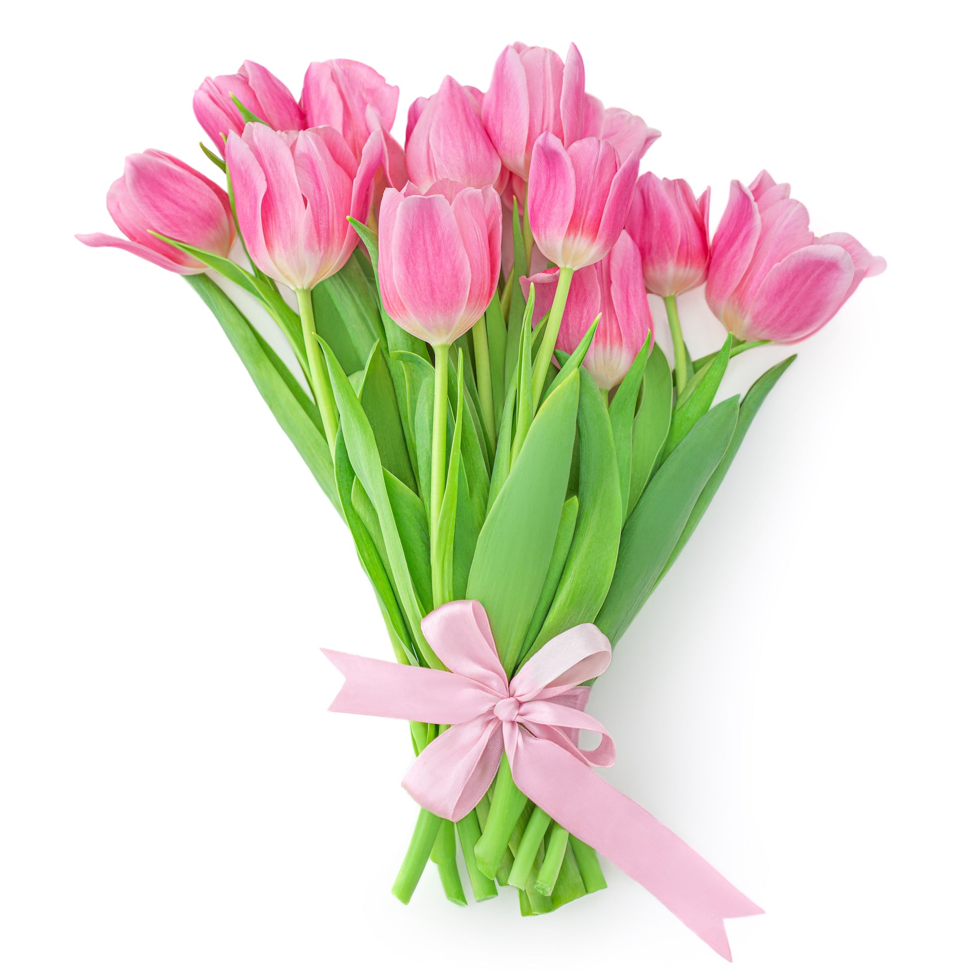 Send 11 tulips to Ukraine for Women's Day 