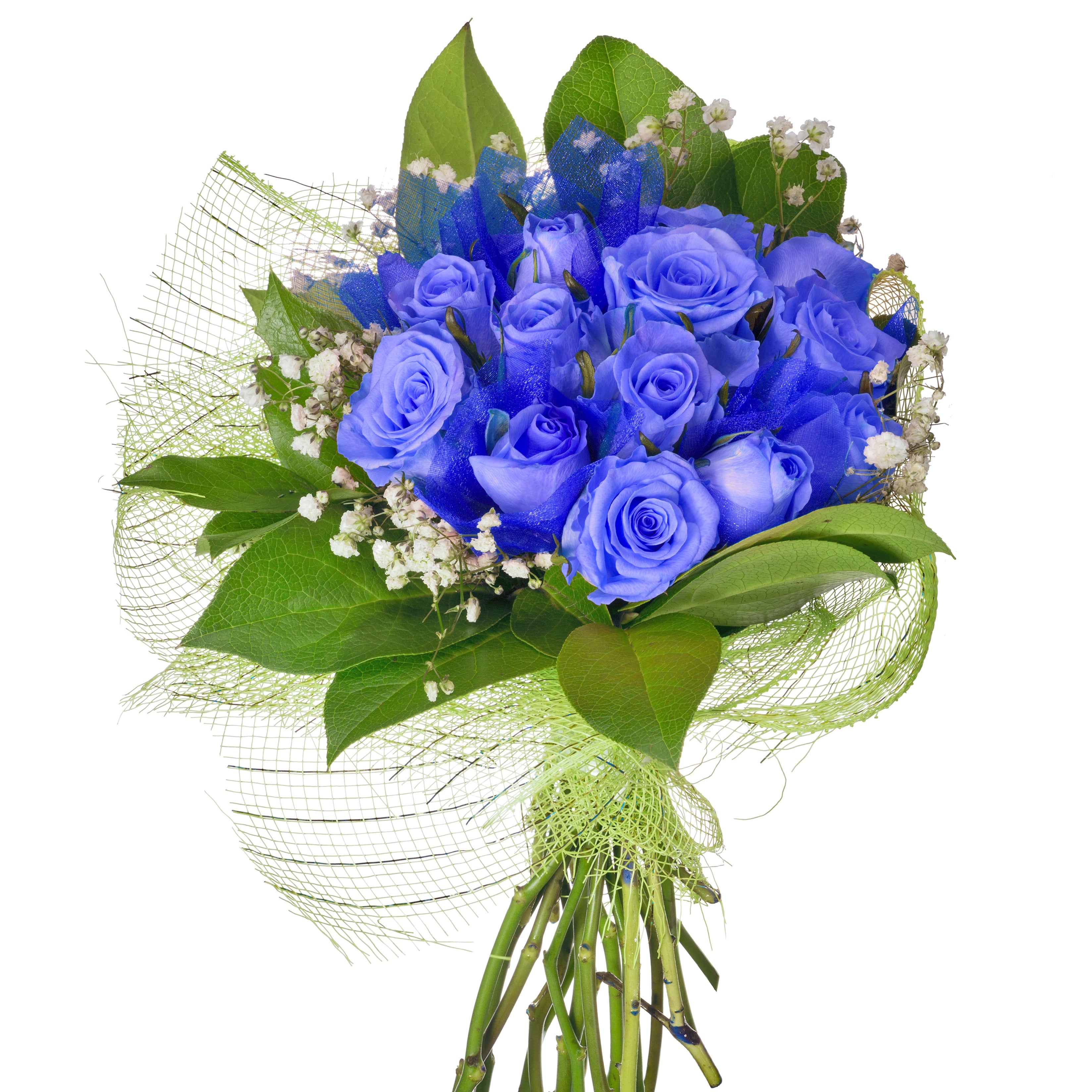 Bouquet of 15 blue roses with greenery and baby's breath for delivery in Ukraine.