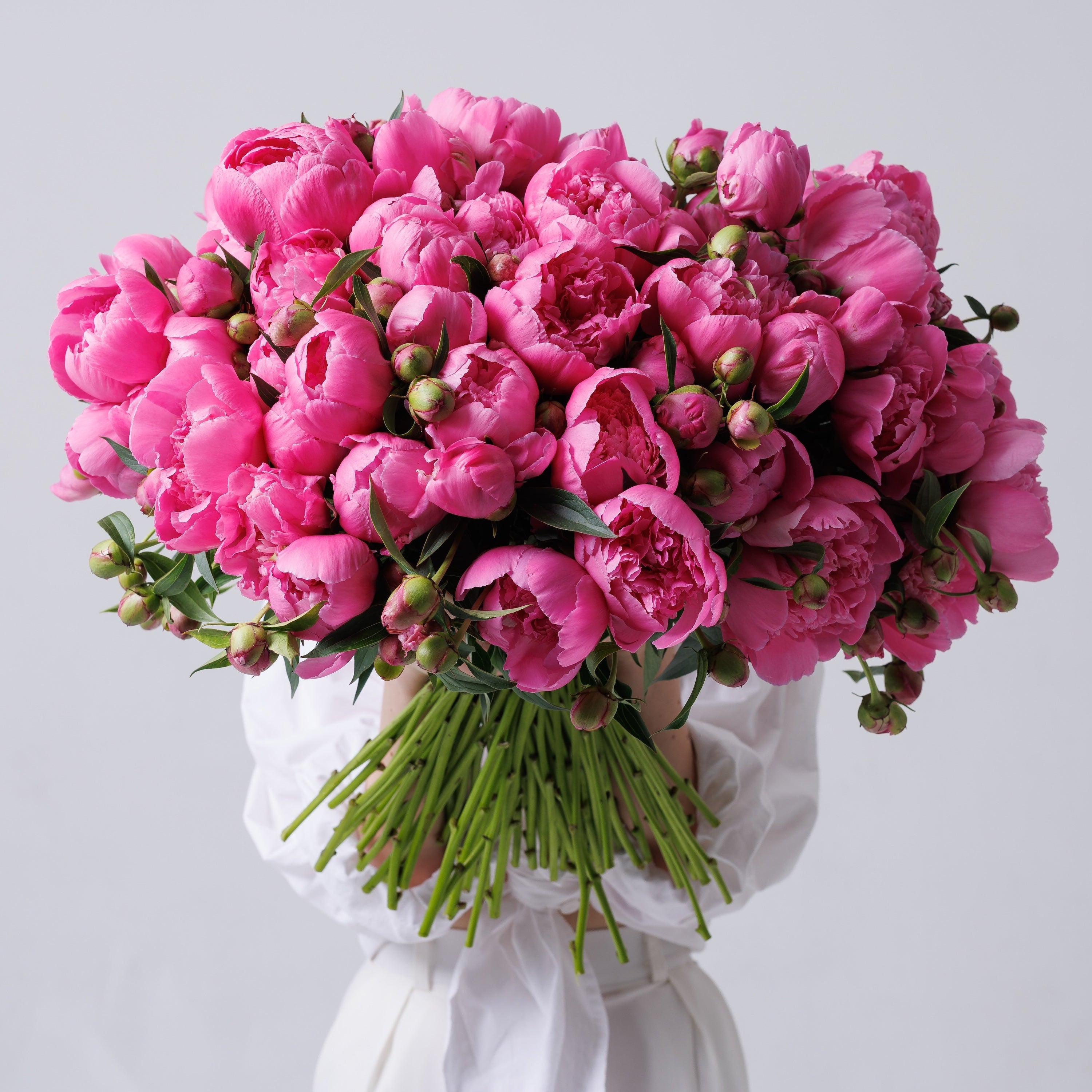49 luxury peonies arrangement