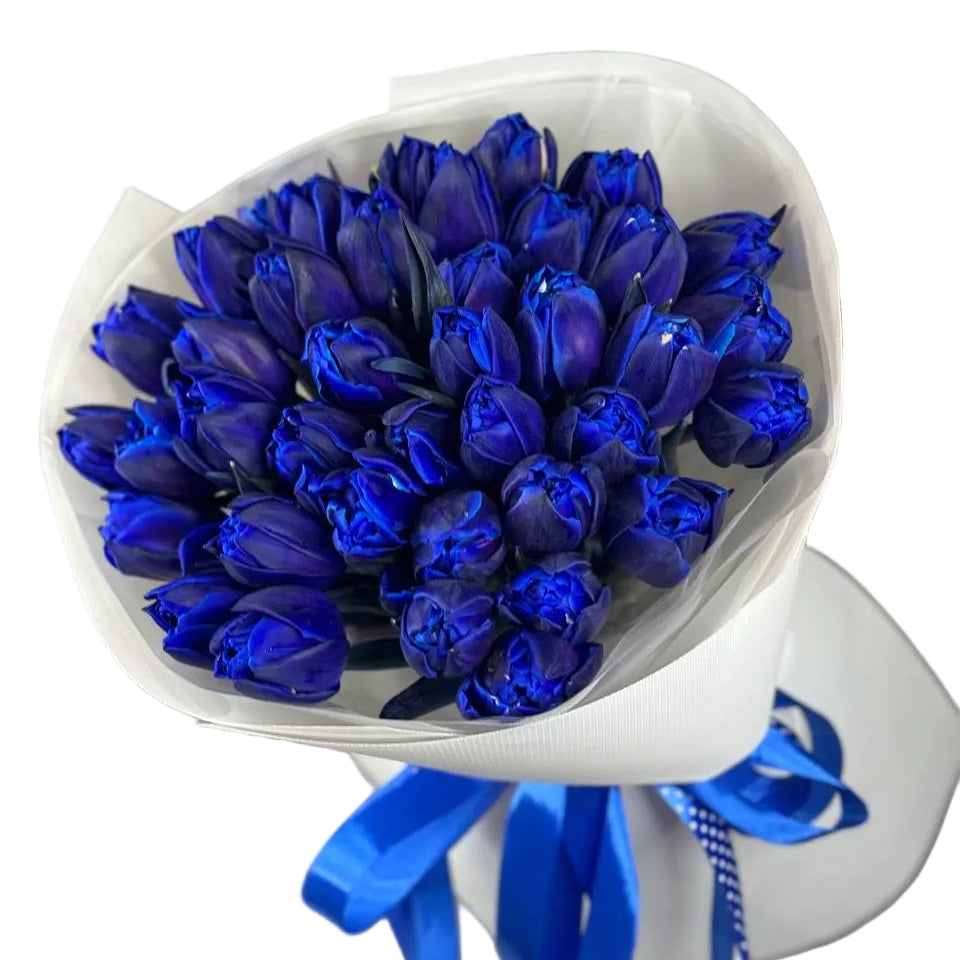 Bouquet of 35 royal blue tulips wrapped in white paper with blue ribbon – flower delivery Ukraine