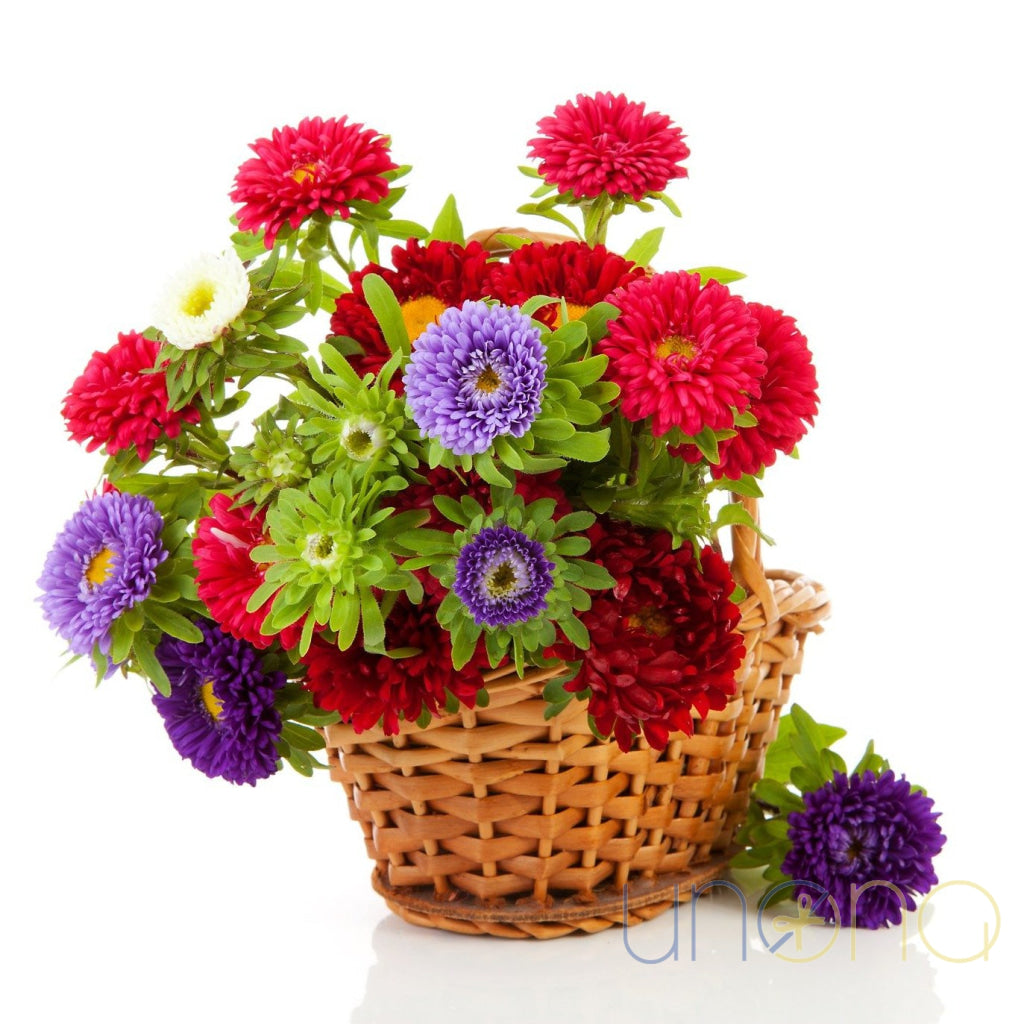 Alluring Beauty Basket – asters & chrysanthemums with seasonal greens – send flowers to Ukraine