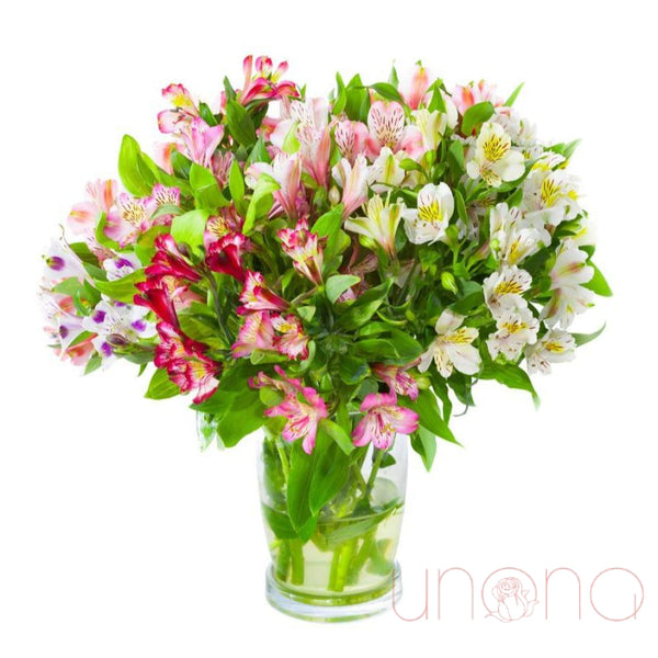 Alstroemeria Touch Bouquet | Ukraine Gift Delivery.