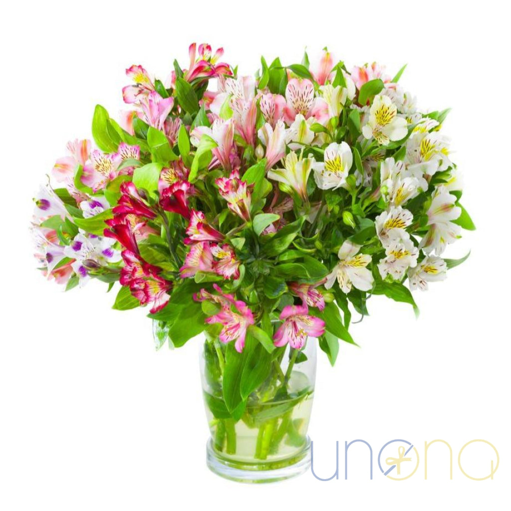 Alstroemeria Touch Bouquet | Ukraine Gift Delivery.