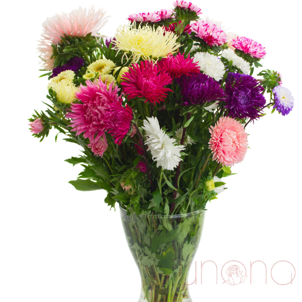 Ardent Eyes Bouquet – hot pink, violet, and white asters for delivery in Ukraine