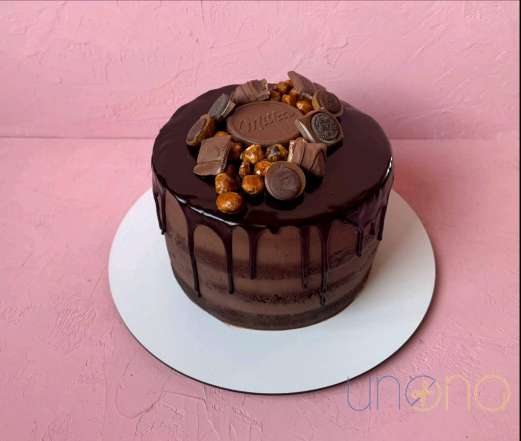 Artisan Chocolate Truffle Cake with moist sponge and chocolate cream