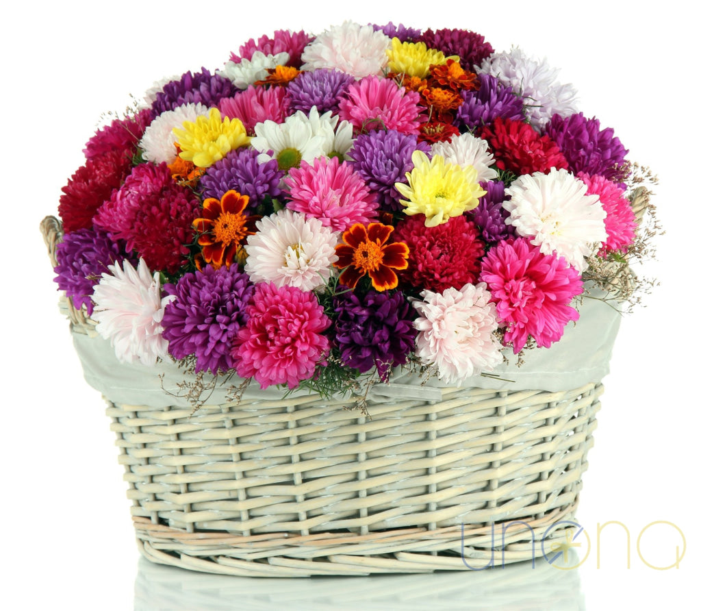 Autumn Colors Flower Basket – multicolored asters for delivery in Ukraine