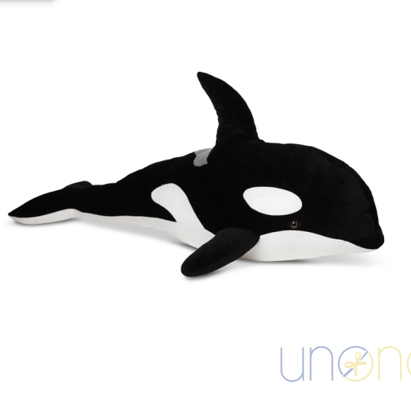 Black & White Orca By Holidays