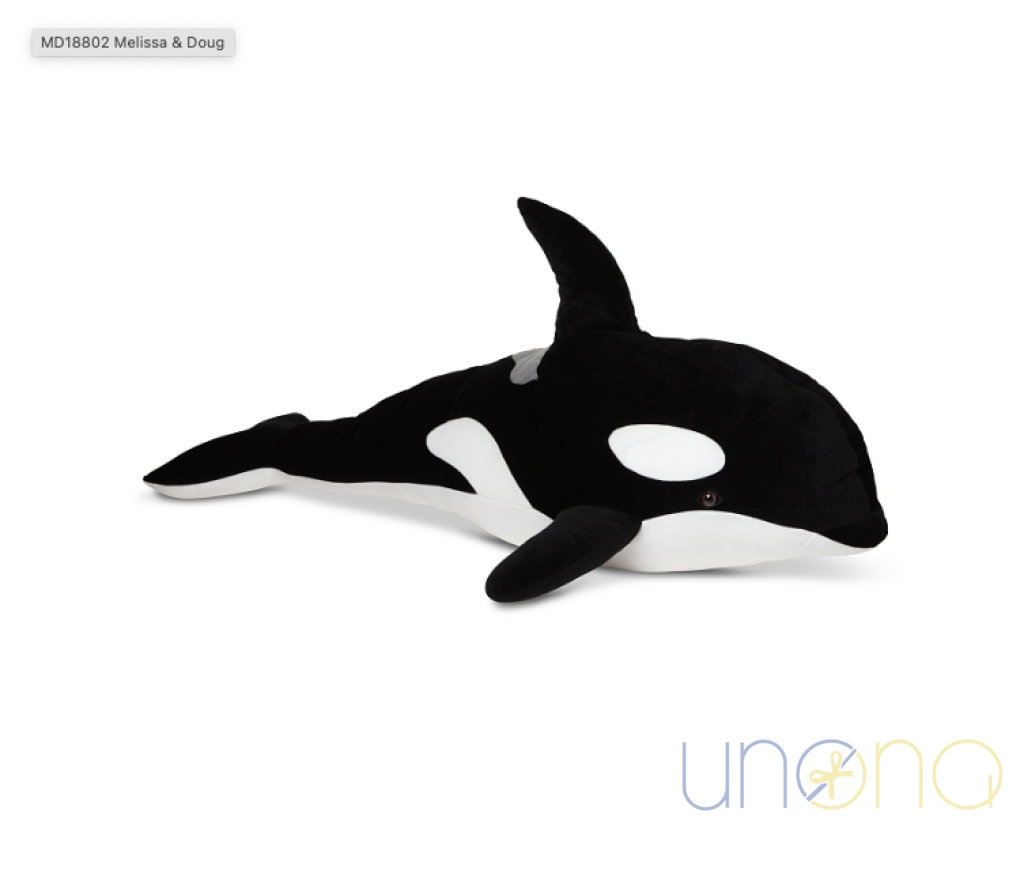 Black & White Orca By Holidays