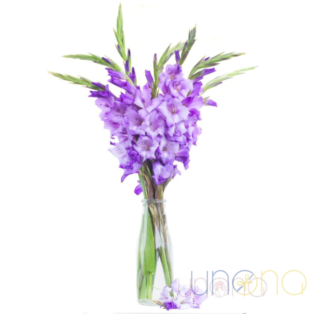 Gladiolus bouquet in mixed colors with gift ribbon – flower delivery Ukraine