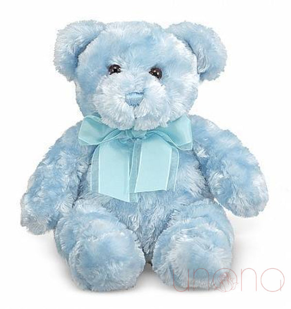 Blueberry Teddy Bear | Ukraine Gift Delivery.