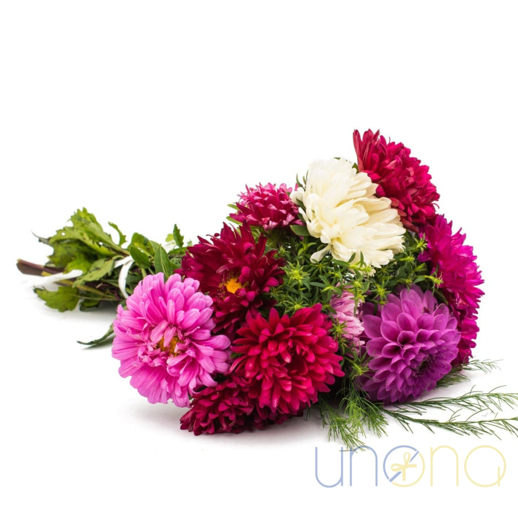Bouquet of 11 multicolored asters – send flowers to Ukraine