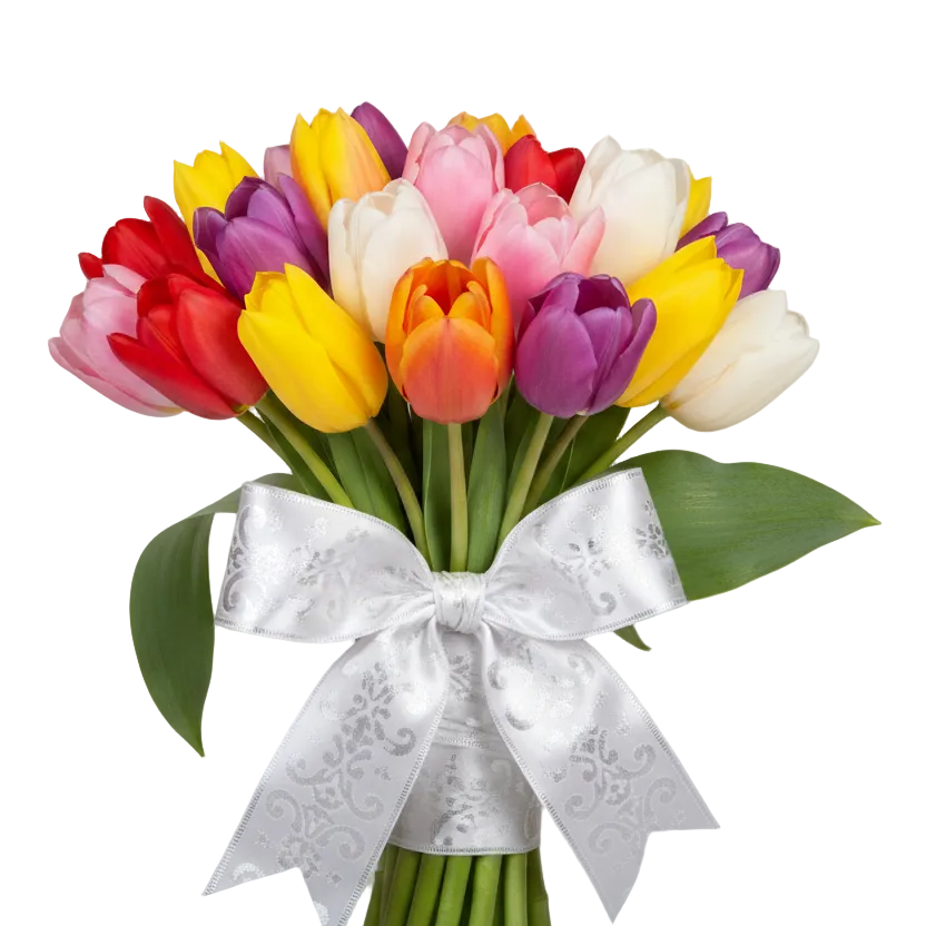 Bright multicolored tulips bouquet for Women’s Day in Ukraine