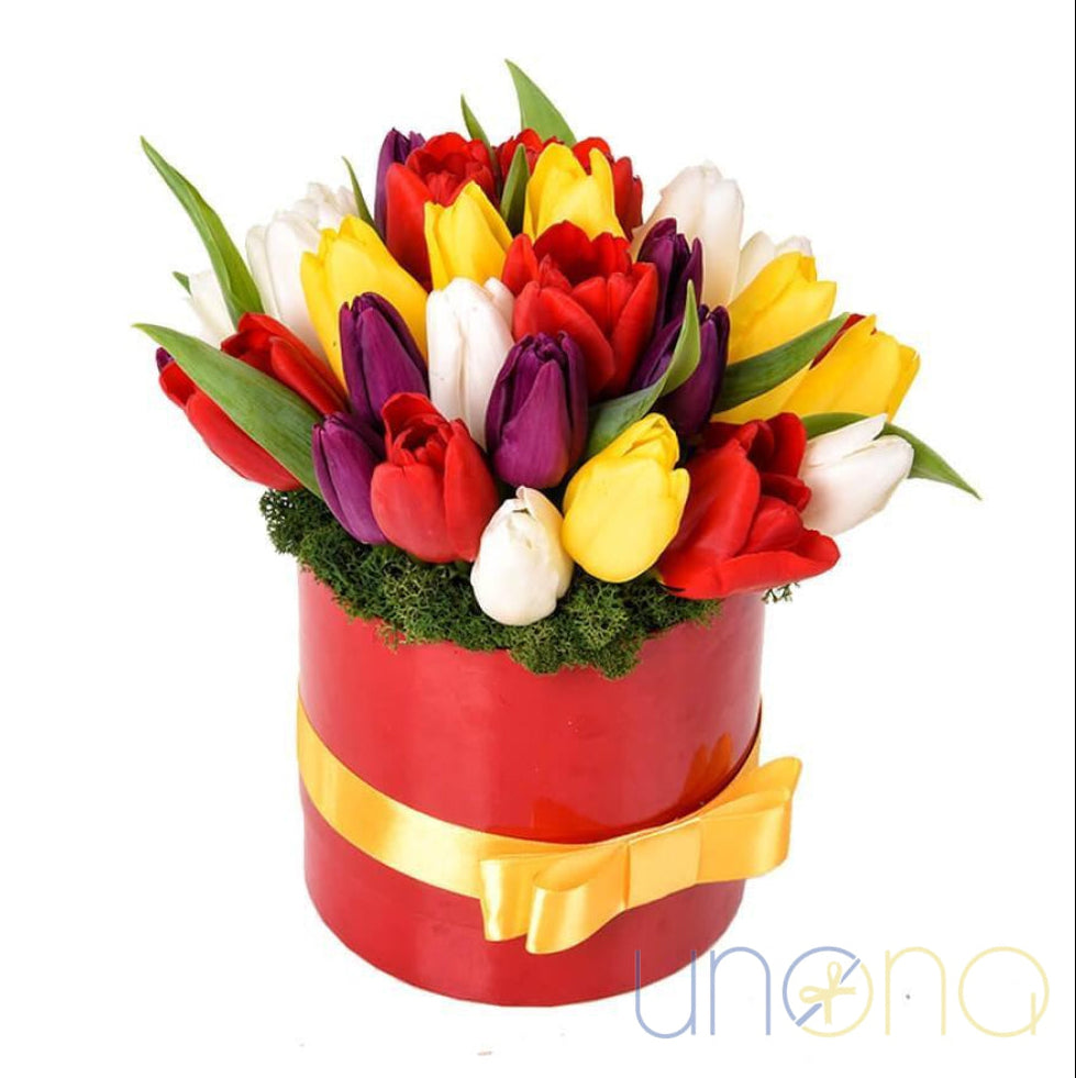 25 multicolored tulips in red hat box delivery Ukraine