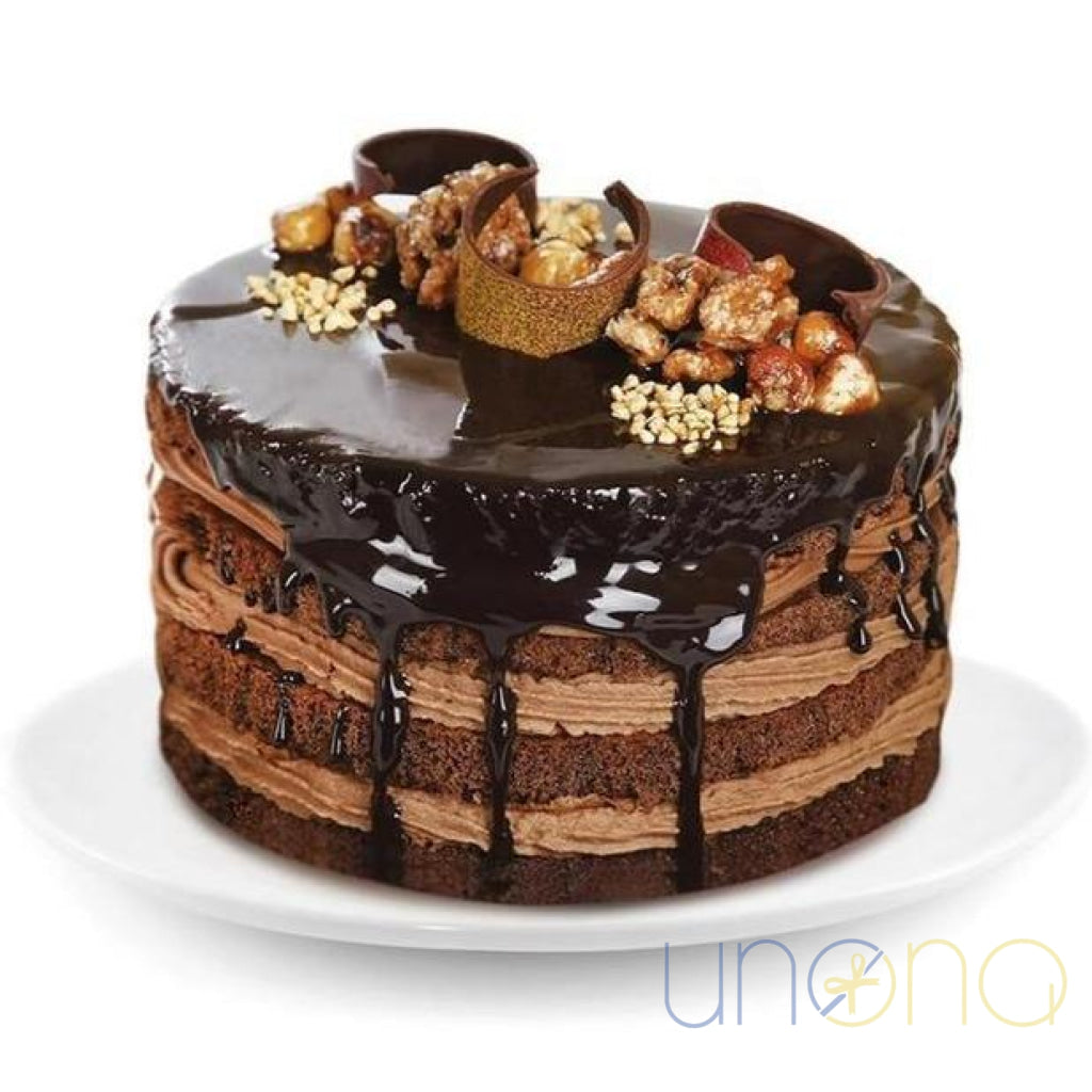 Chocolate Truffle Cake with rich chocolate sponge and silky truffle cream