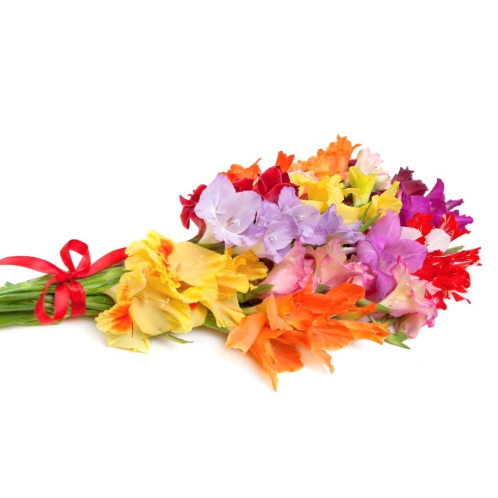 Bright gladiolus bouquet for Independence Day Ukraine