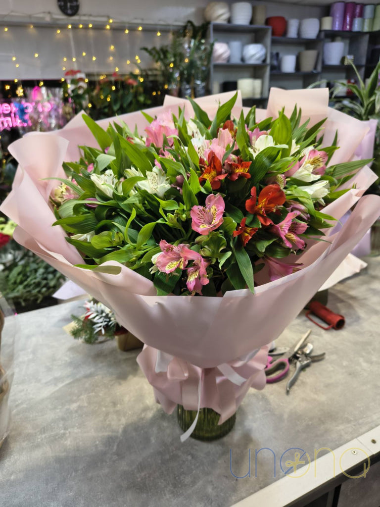 Colorful Alstroemerias Bouquet - 25 Stems Alstroemeria