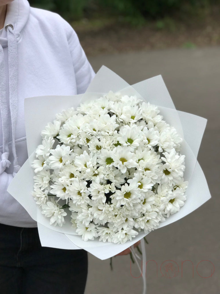 Cute Daisies Bouquet By Holidays