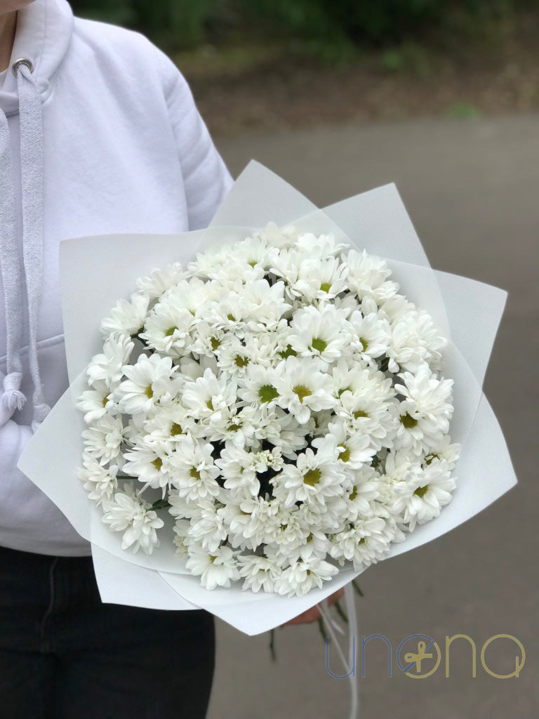 Cute Daisies Bouquet By Holidays