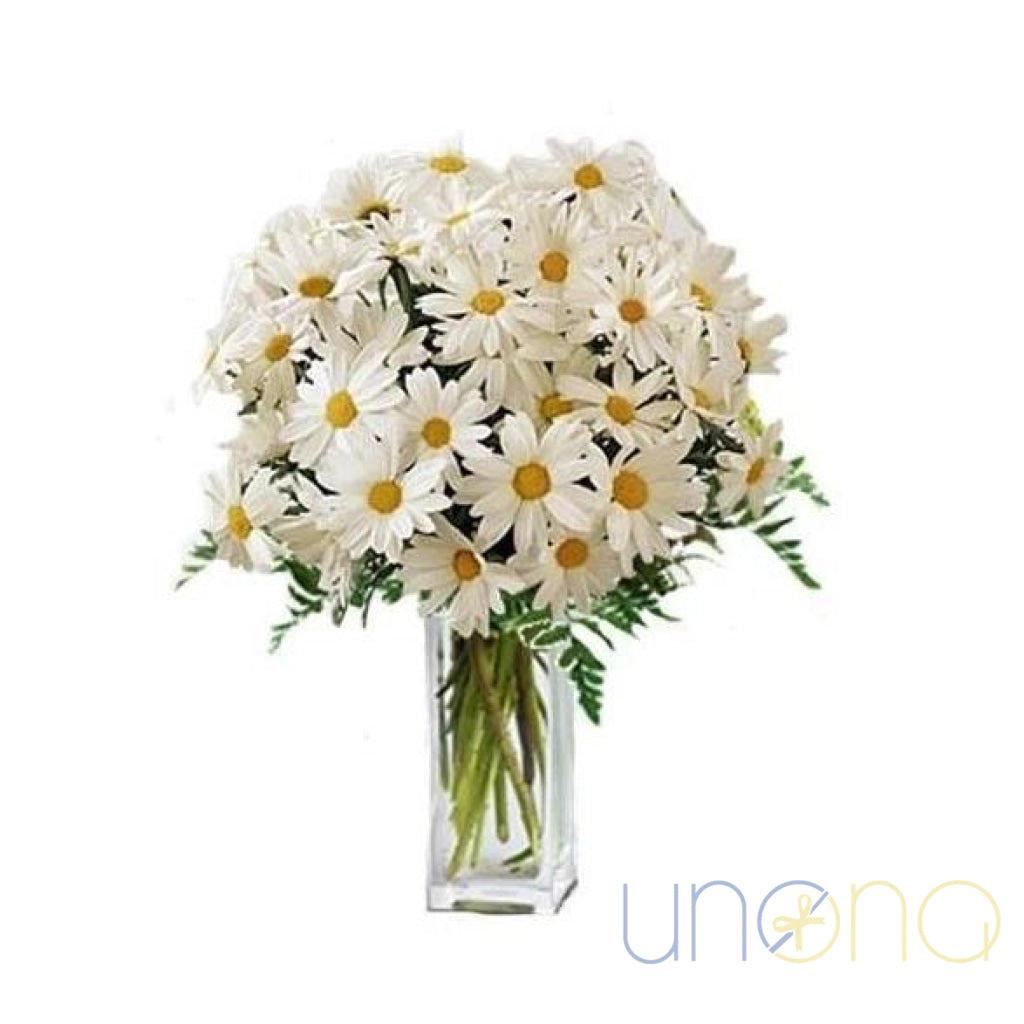 33 Daisies Bouquet | Ukraine Gift Delivery.