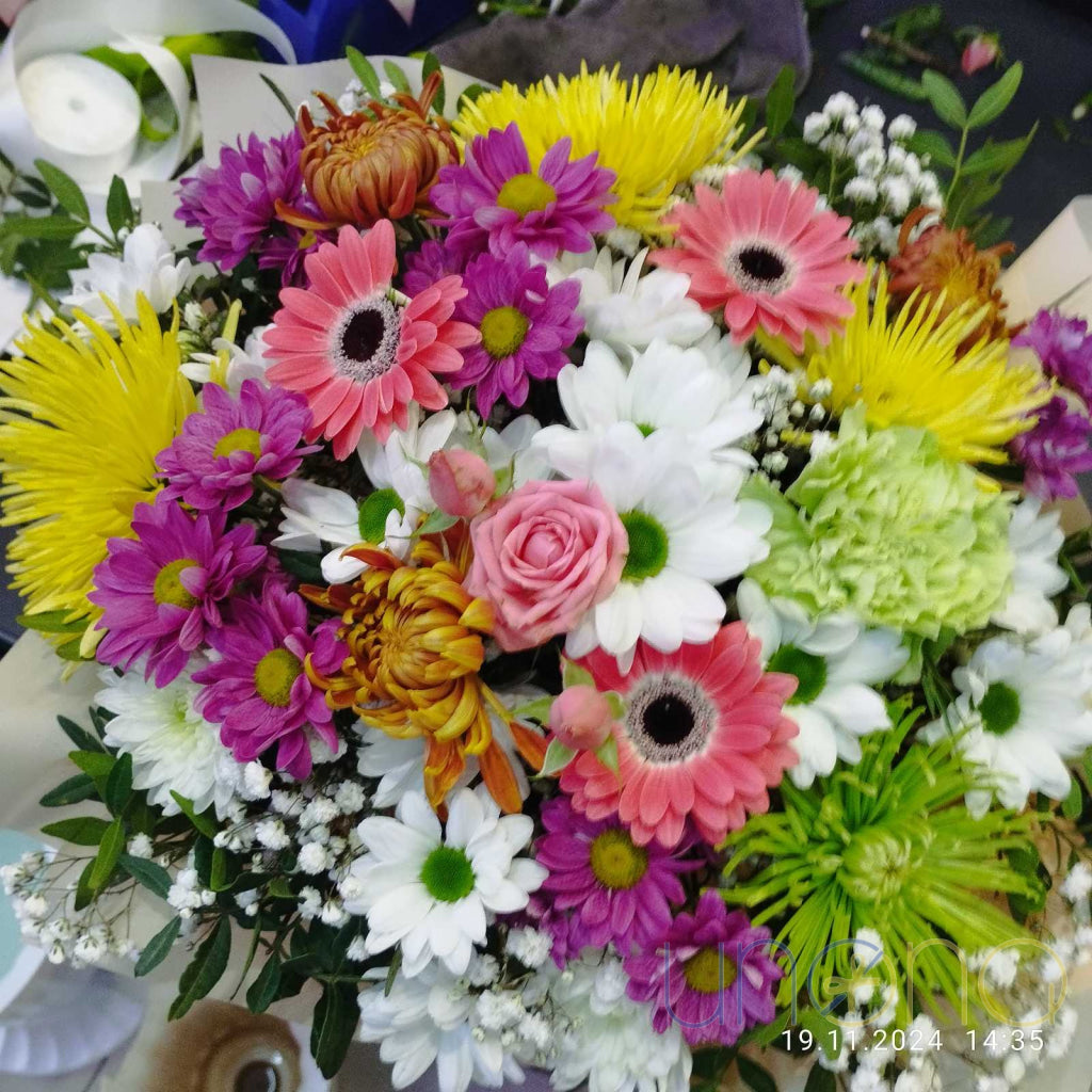 Daisy Miracle Arrangement Flowers