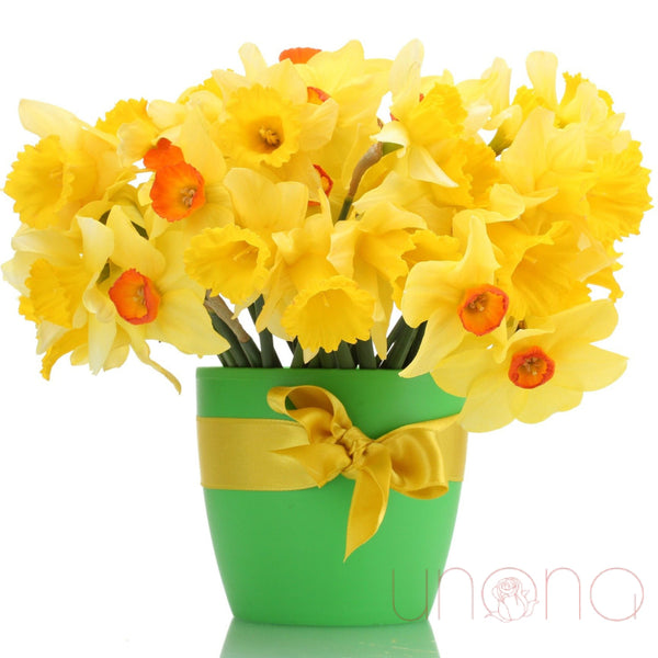 Delightful Daffodils Bouquet | Ukraine Gift Delivery.
