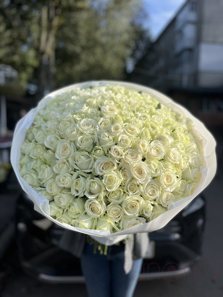 Dream 150 Roses Arrangement Roses