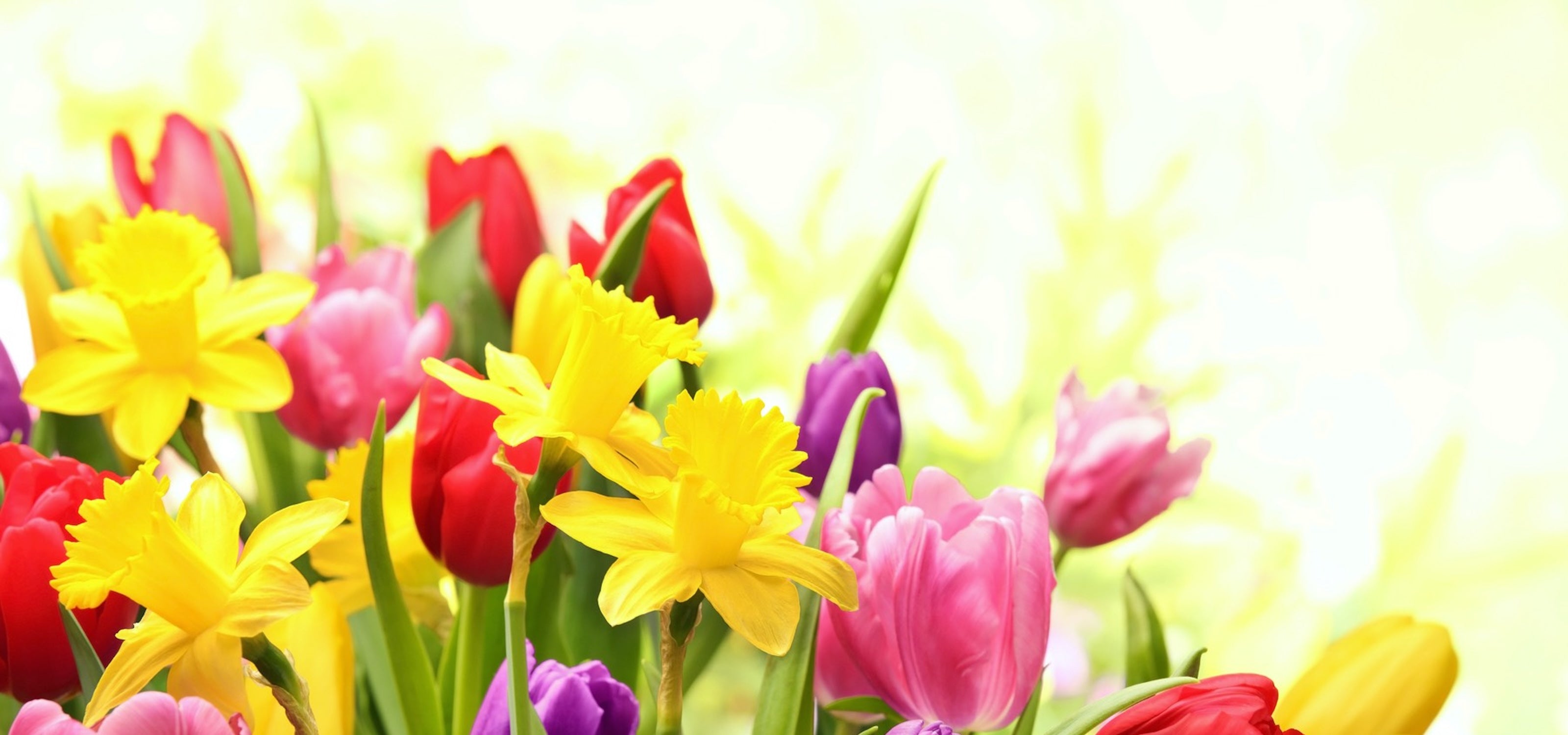 Easter flowers delivery in Ukraine