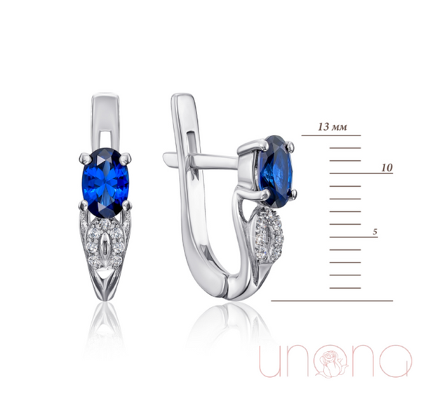 Elegant Silver Earrings With Sapphire And Cubic Zirconia Jewelry