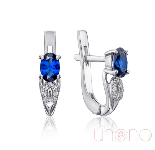 Elegant Silver Earrings With Sapphire And Cubic Zirconia Jewelry