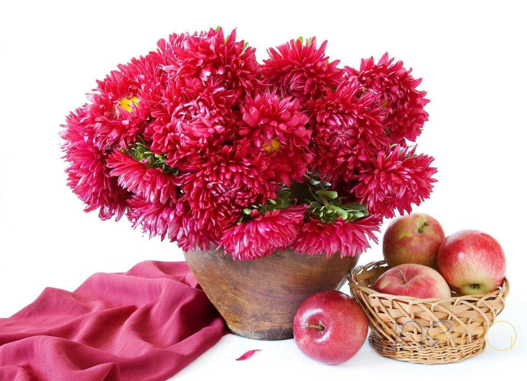 Fall Special Gift Set – bouquet of red asters with tray of apples for delivery in Ukraine