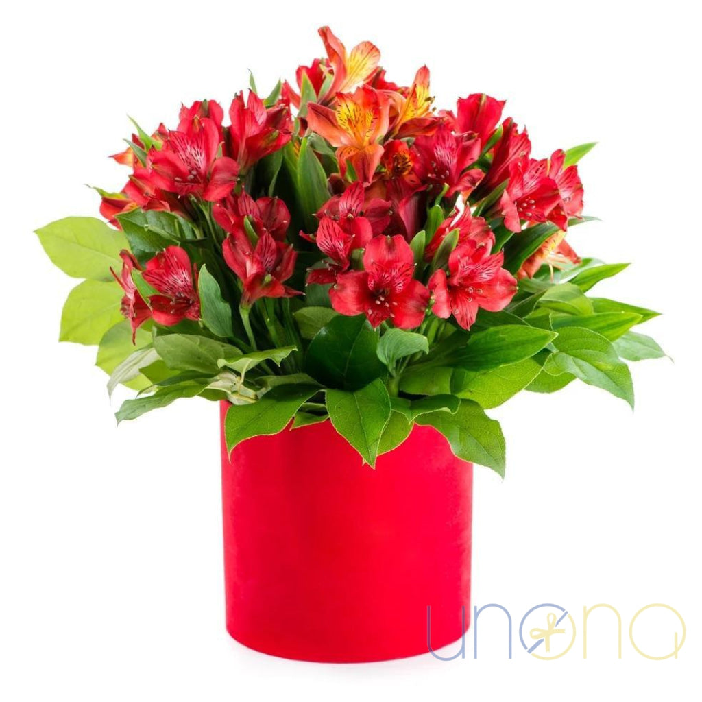 Fancy Alstroemerias Gift Box | Ukraine Gift Delivery.