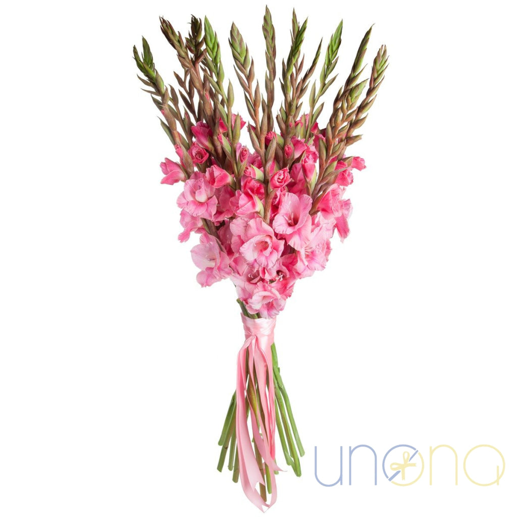 Bouquet of pink gladioluses wrapped for delivery – flower gift in Ukraine