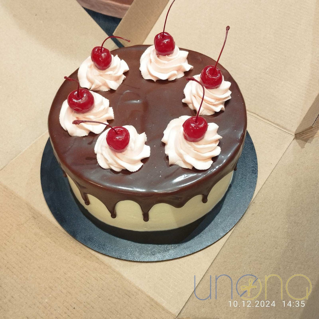 Traditional Black Forest Cake with whipped cream and chocolate shavings