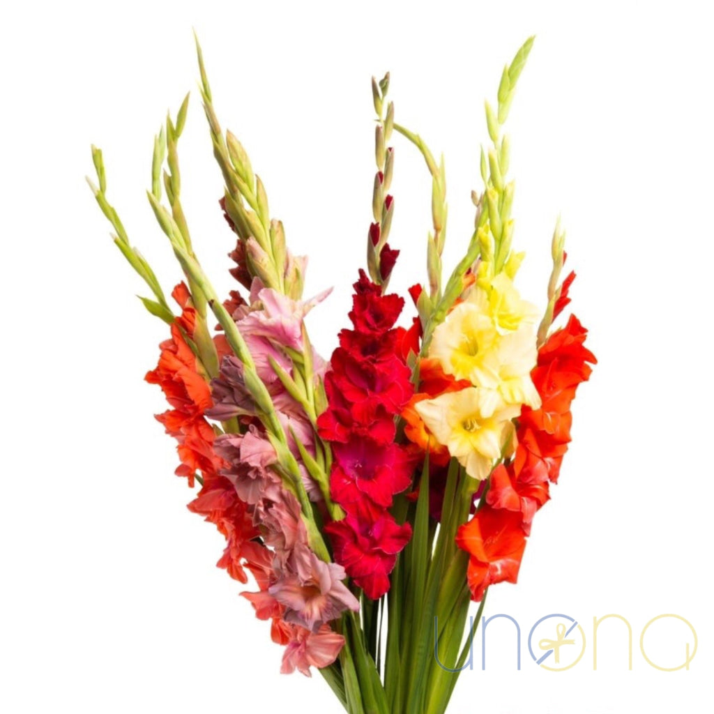 Elegant gladioli compliment bouquet – floral gift to Ukraine
