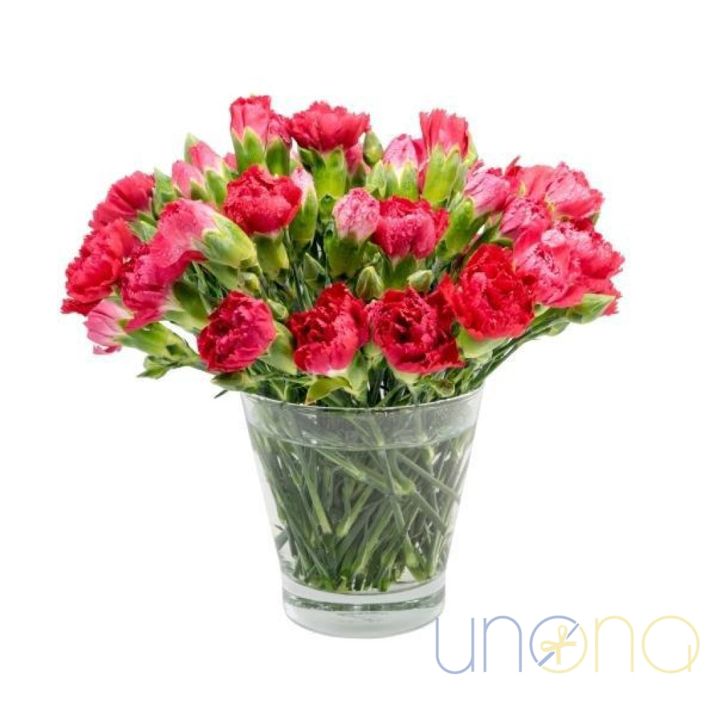 25 fresh carnations delivery Ukraine