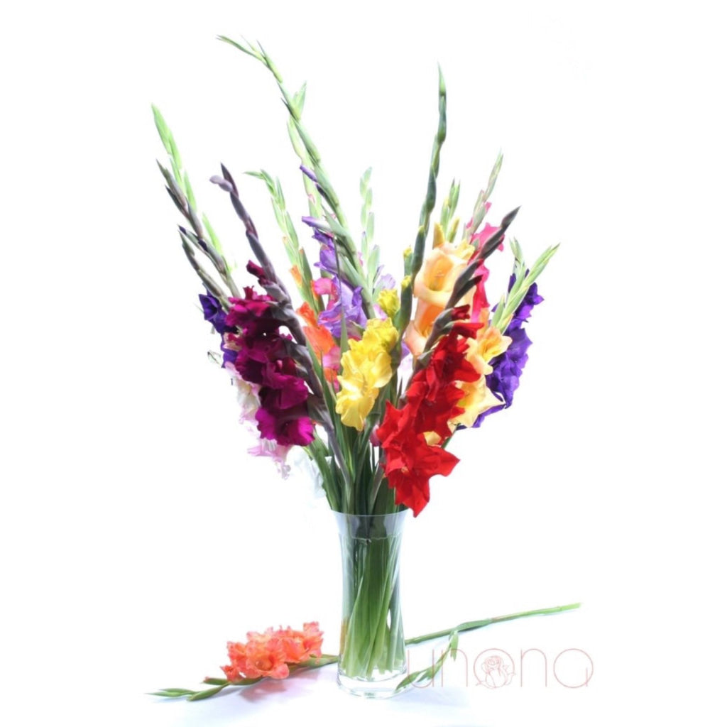 Heart Never Forgets bouquet – 17 gladioluses for delivery in Ukraine